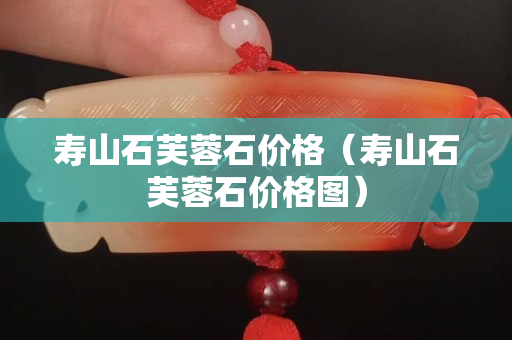 壽山石芙蓉石價格（壽山石芙蓉石價格圖）