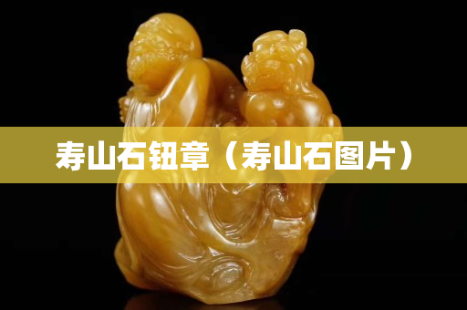 壽山石鈕章（壽山石圖片）