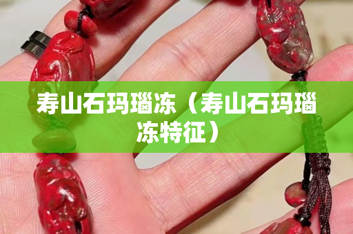 壽山石瑪瑙凍（壽山石瑪瑙凍特征）