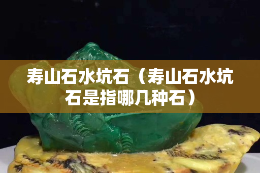 壽山石水坑石（壽山石水坑石是指哪幾種石）