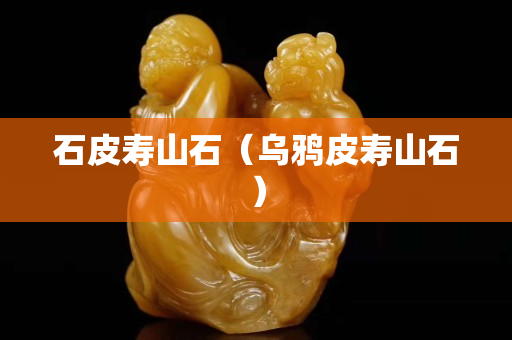 石皮壽山石（烏鴉皮壽山石）