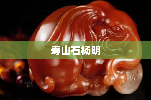 壽山石楊明