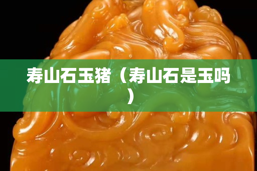 壽山石玉豬（壽山石是玉嗎）