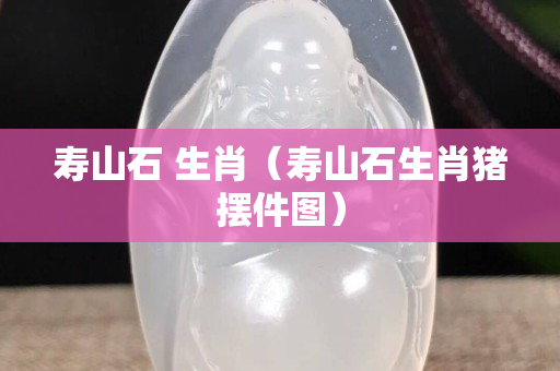 壽山石 生肖（壽山石生肖豬擺件圖）