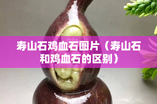 壽山石雞血石圖片（壽山石和雞血石的區別）