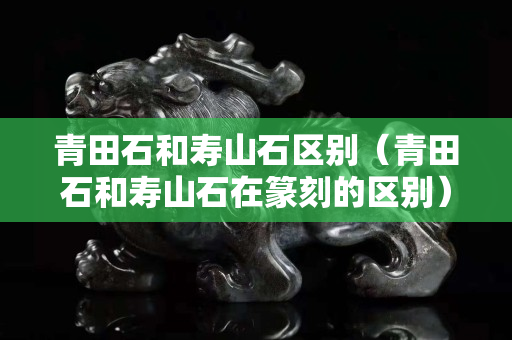 青田石和壽山石區別（青田石和壽山石在篆刻的區別）