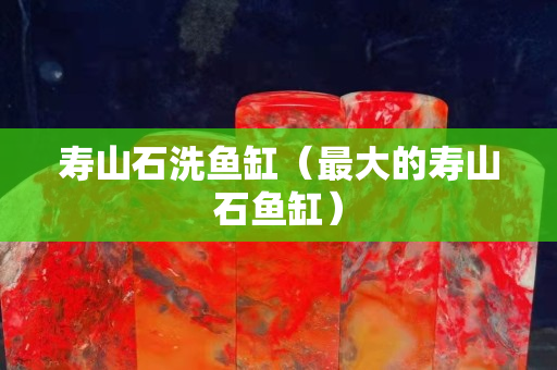 壽山石洗魚缸（最大的壽山石魚缸）