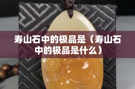 壽山石中的極品是（壽山石中的極品是什么）
