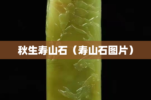 秋生壽山石（壽山石圖片）