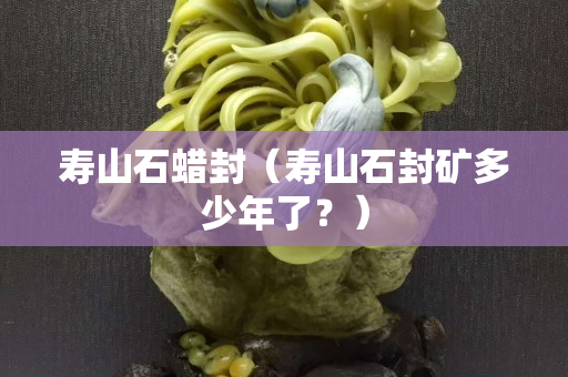 壽山石蠟封（壽山石封礦多少年了？）