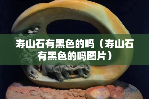 壽山石有黑色的嗎（壽山石有黑色的嗎圖片）