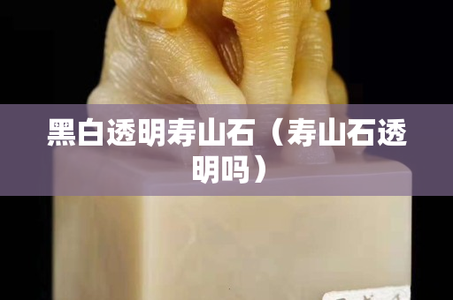 黑白透明壽山石（壽山石透明嗎）