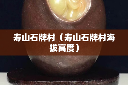 壽山石牌村（壽山石牌村海拔高度）