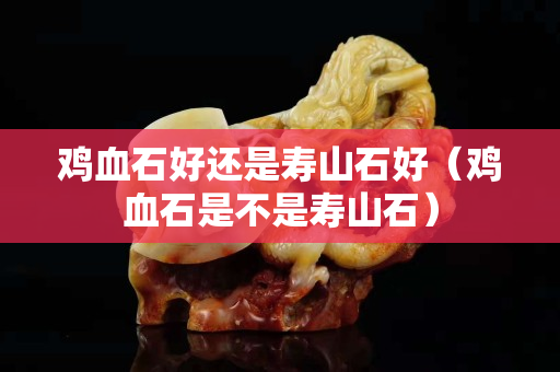 雞血石好還是壽山石好（雞血石是不是壽山石）