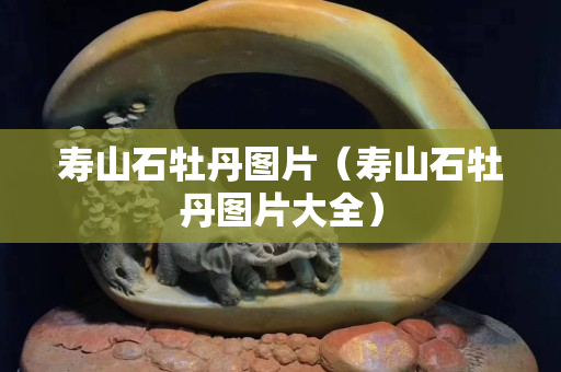 壽山石牡丹圖片（壽山石牡丹圖片大全）