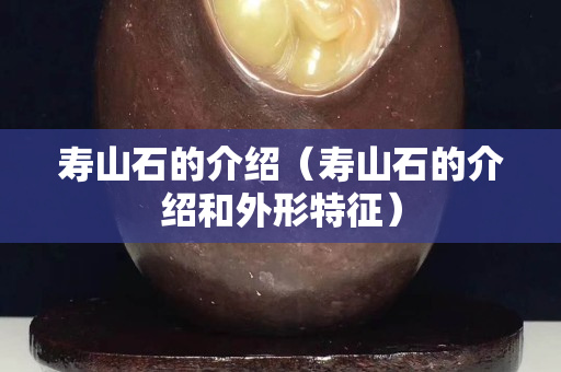 壽山石的介紹（壽山石的介紹和外形特征）