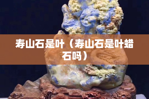 壽山石是葉（壽山石是葉蠟石嗎）
