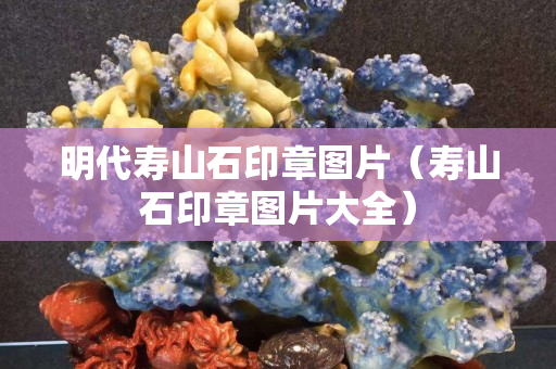 明代壽山石印章圖片（壽山石印章圖片大全）