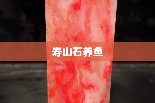 壽山石養(yǎng)魚
