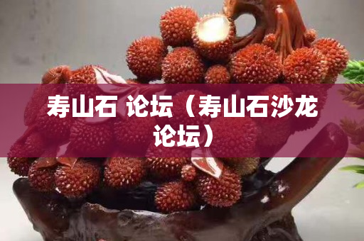 壽山石 論壇（壽山石沙龍論壇）
