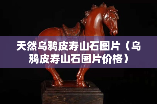 天然烏鴉皮壽山石圖片（烏鴉皮壽山石圖片價格）