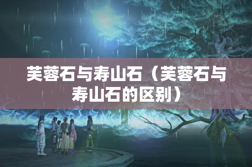 芙蓉石與壽山石（芙蓉石與壽山石的區(qū)別）