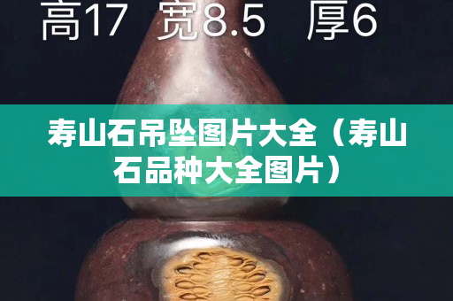 壽山石吊墜圖片大全（壽山石品種大全圖片）