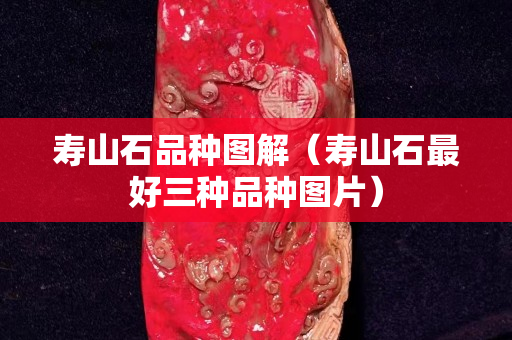 壽山石品種圖解（壽山石最好三種品種圖片）