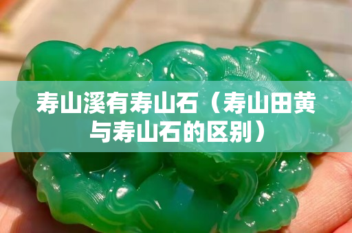 壽山溪有壽山石（壽山田黃與壽山石的區(qū)別）