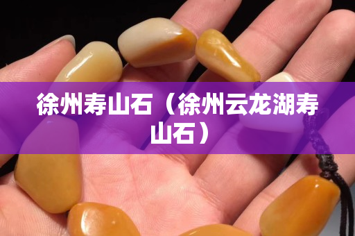 徐州壽山石（徐州云龍湖壽山石）