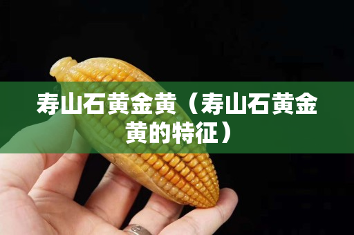 壽山石黃金黃（壽山石黃金黃的特征）