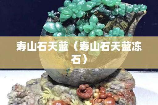 壽山石天藍(lán)（壽山石天藍(lán)凍石）