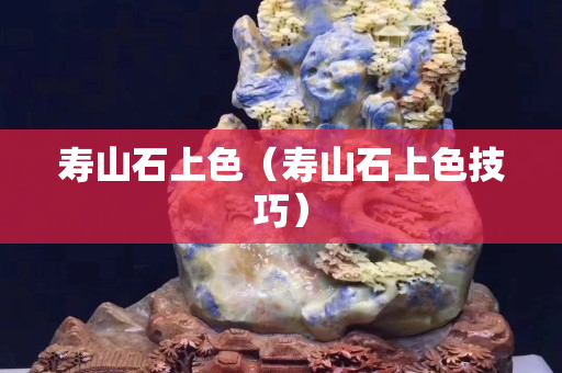 壽山石上色（壽山石上色技巧）