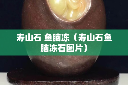 壽山石 魚腦凍（壽山石魚腦凍石圖片）