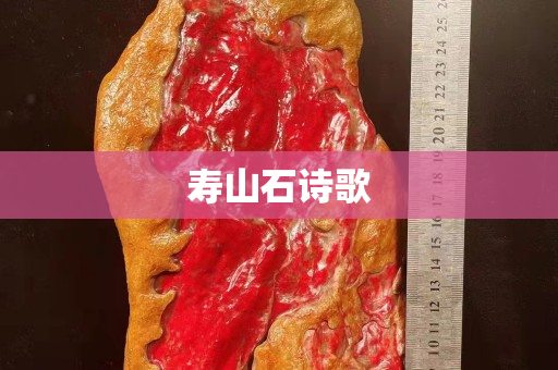 壽山石詩歌