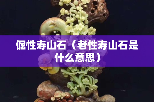 倔性壽山石（老性壽山石是什么意思）