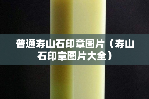 普通壽山石印章圖片（壽山石印章圖片大全）