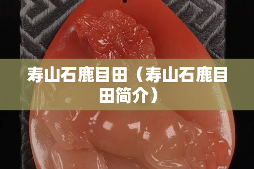 壽山石鹿目田（壽山石鹿目田簡介）