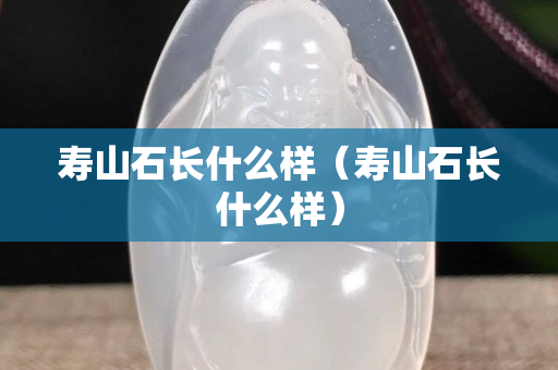 壽山石長(zhǎng)什么樣（壽山石長(zhǎng)什么樣）