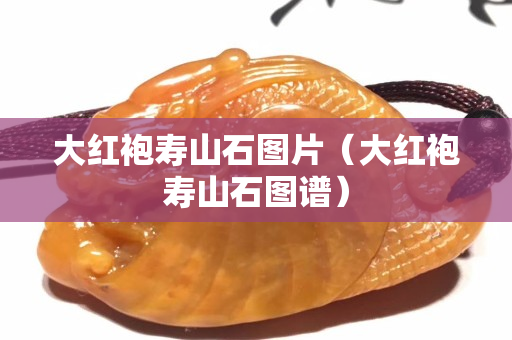 大紅袍壽山石圖片（大紅袍壽山石圖譜）