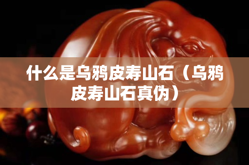 什么是烏鴉皮壽山石（烏鴉皮壽山石真偽）