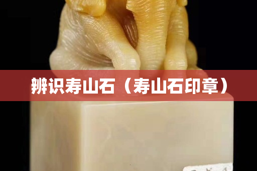 辨識壽山石（壽山石印章）