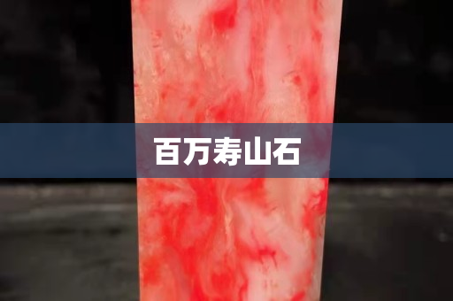 百萬(wàn)壽山石