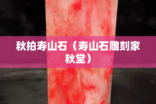 秋拍壽山石（壽山石雕刻家秋堂）