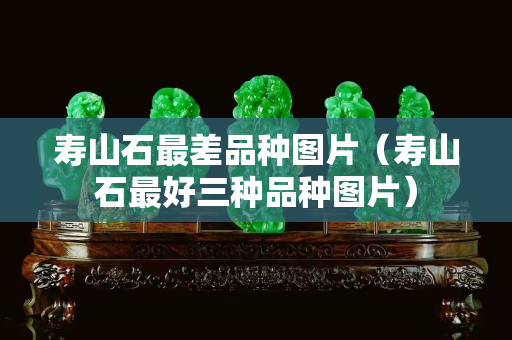壽山石最差品種圖片（壽山石最好三種品種圖片）