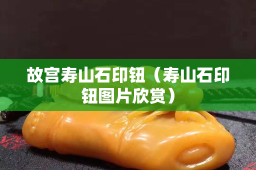 故宮壽山石印鈕（壽山石印鈕圖片欣賞）