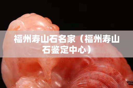 福州壽山石名家（福州壽山石鑒定中心）