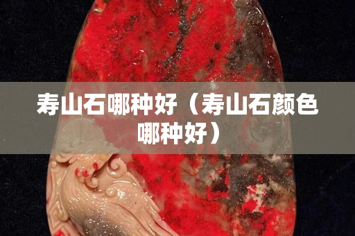 壽山石哪種好（壽山石顏色哪種好）