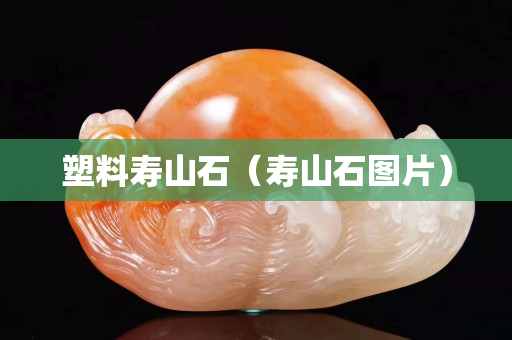 塑料壽山石（壽山石圖片）