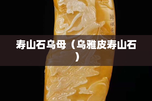壽山石烏母（烏雅皮壽山石）
